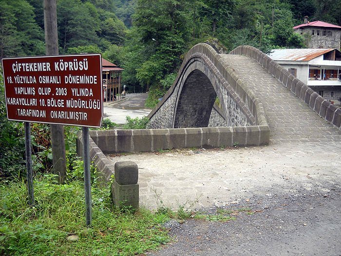 DSCN3211c.jpg