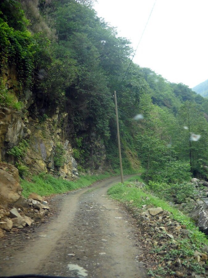 DSCN3245c.jpg