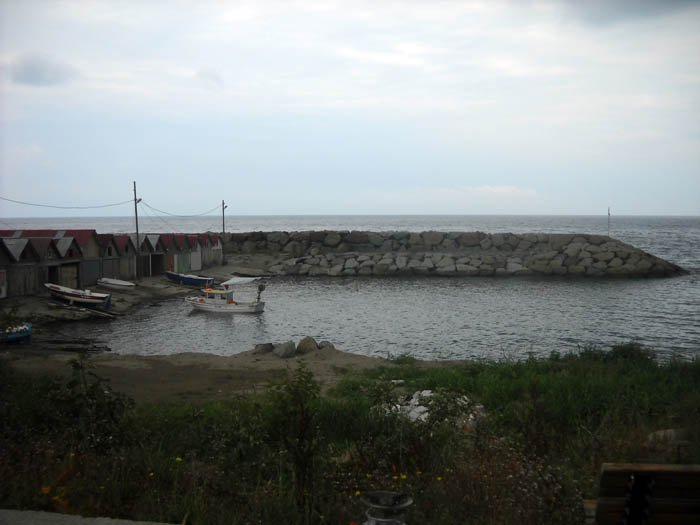 DSCN3441c.jpg