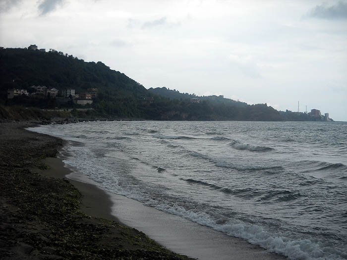 DSCN3442c.jpg
