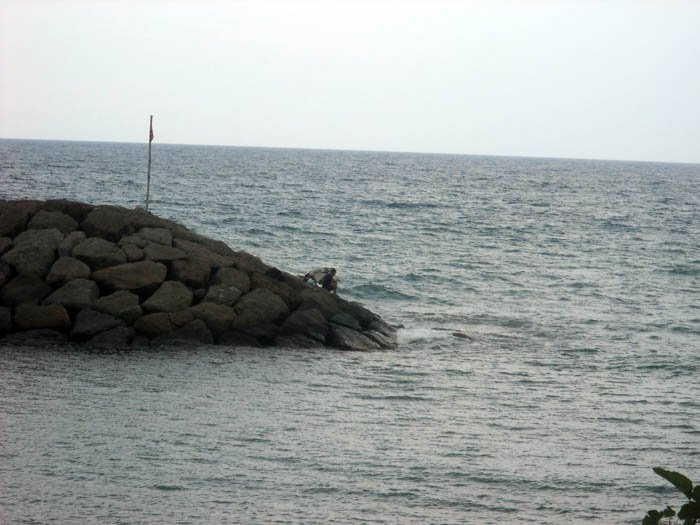 DSCN3460balÃƒÂƒÃ‚Â„ÃƒÂ‚Ã‚Â±kÃƒÂƒÃ‚ÂƒÃƒÂ‚Ã‚Â§ÃƒÂƒÃ‚Â„ÃƒÂ‚Ã‚Â±.jpg