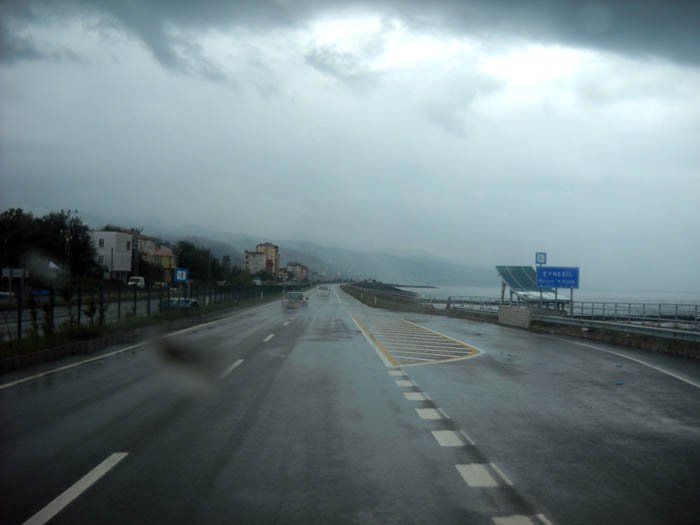 DSCN3466c.jpg