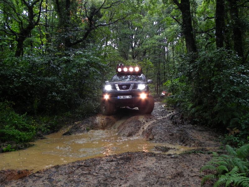DSCN3478.jpg