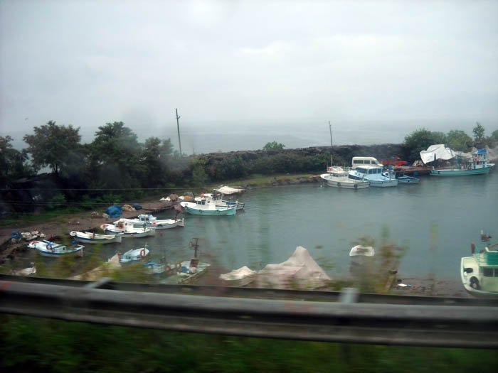 DSCN3525c.jpg
