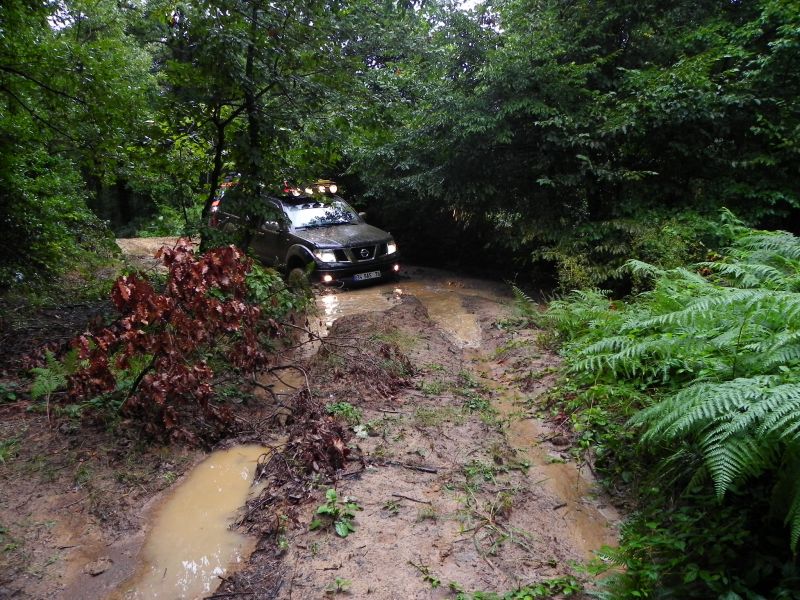 DSCN3543.jpg