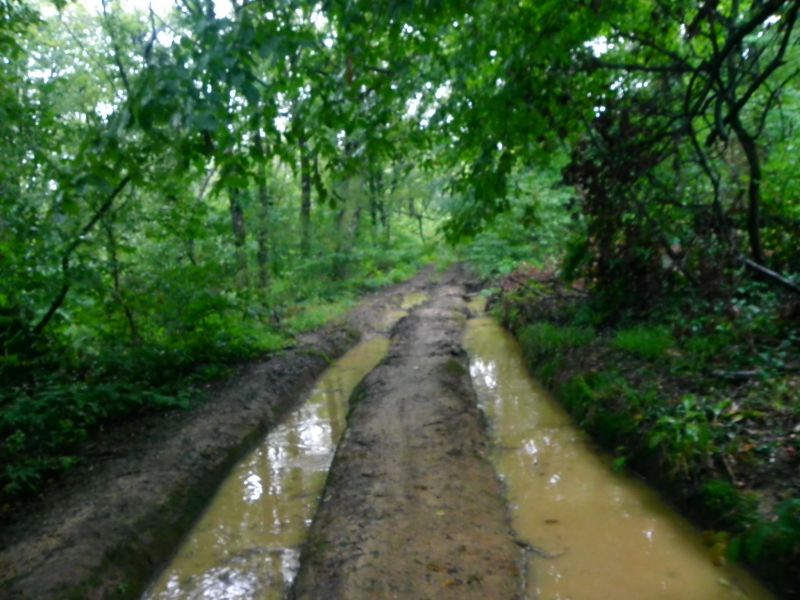DSCN3610.jpg