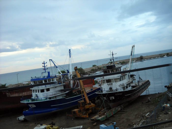 DSCN3611c.jpg