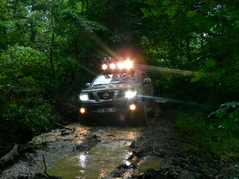 DSCN3619.jpg