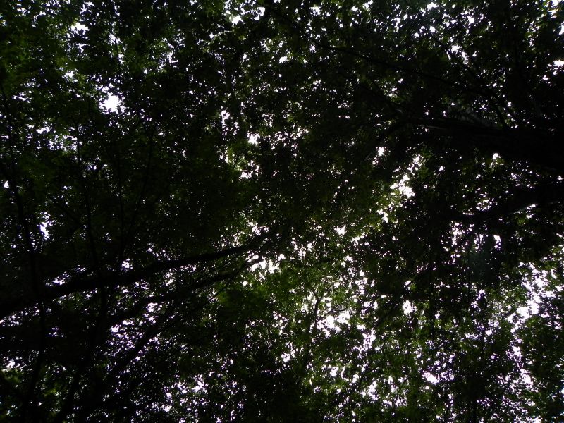 DSCN3633.jpg