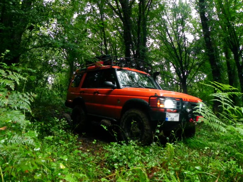 DSCN3661.jpg