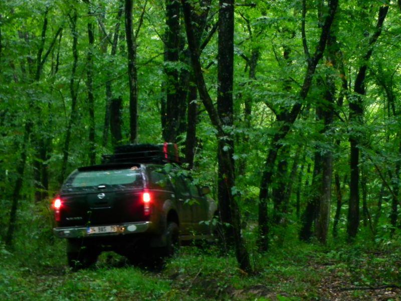 DSCN3671.jpg