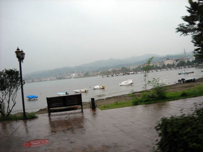 DSCN3682c.jpg