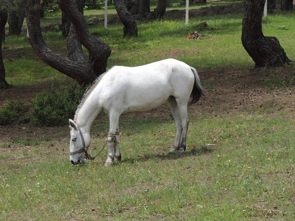 DSCN3708.JPG