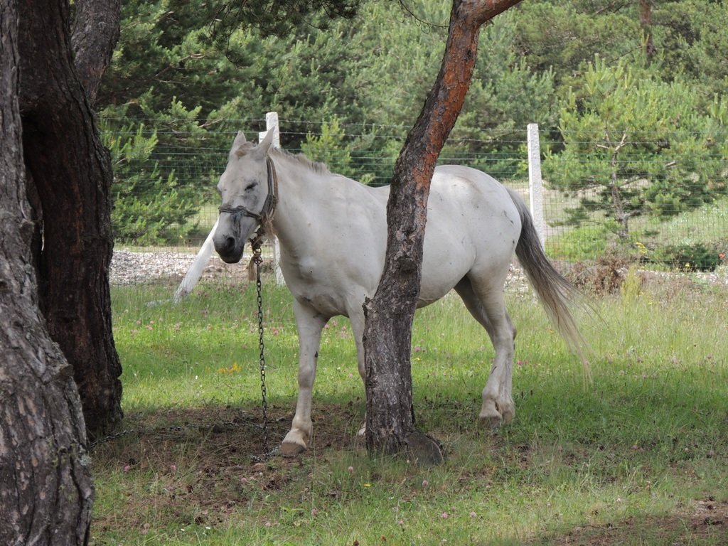 DSCN3709.JPG