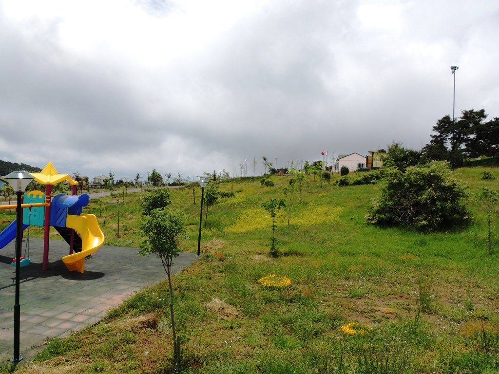 DSCN3720.JPG