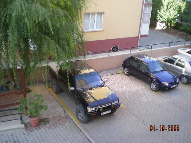 DSCN3721.jpg
