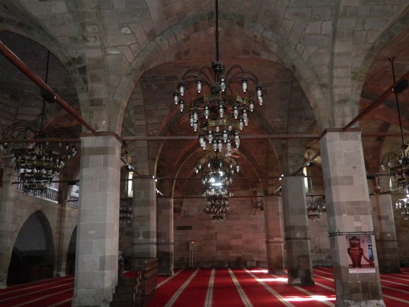 DSCN3803.JPG