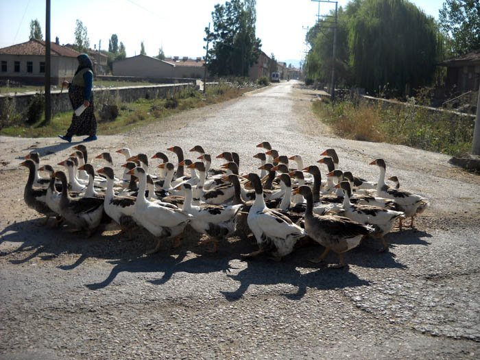 DSCN3825afyon.jpg