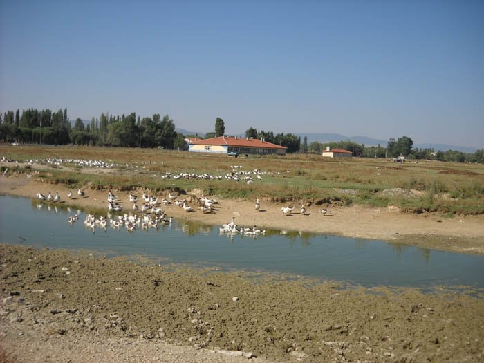 DSCN3842afyon garipce.jpg