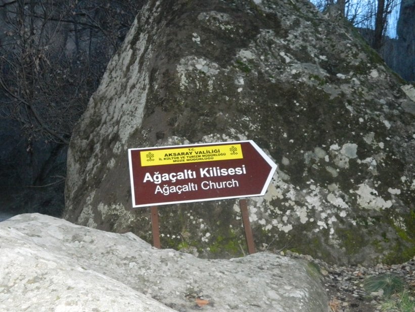 DSCN3920.JPG