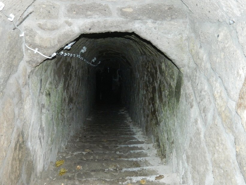 DSCN3984.JPG