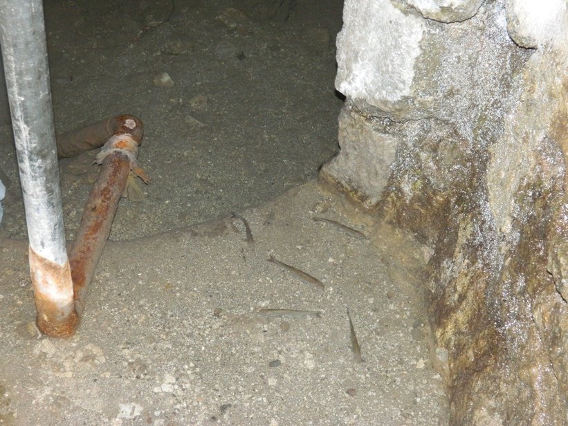 DSCN3985.JPG