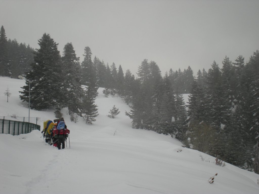 DSCN4556.JPG