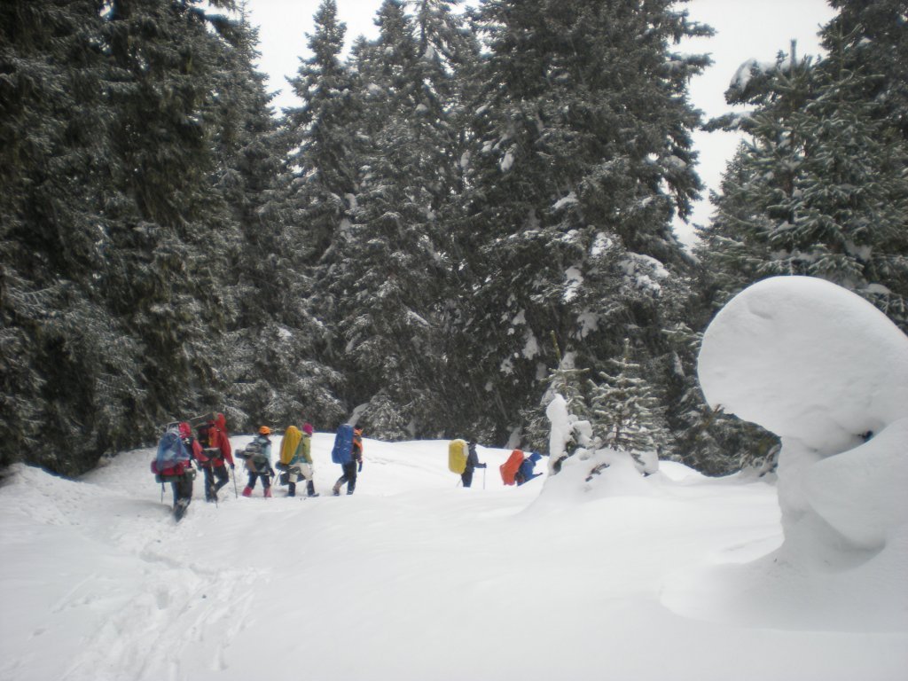 DSCN4559.jpg