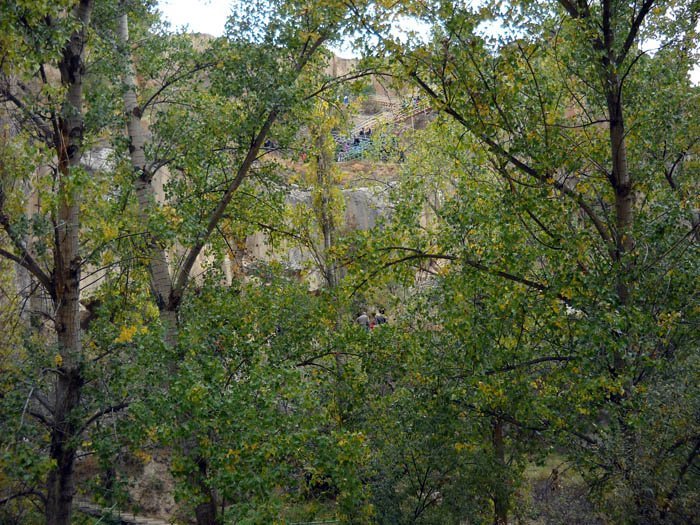 DSCN4562a.jpg