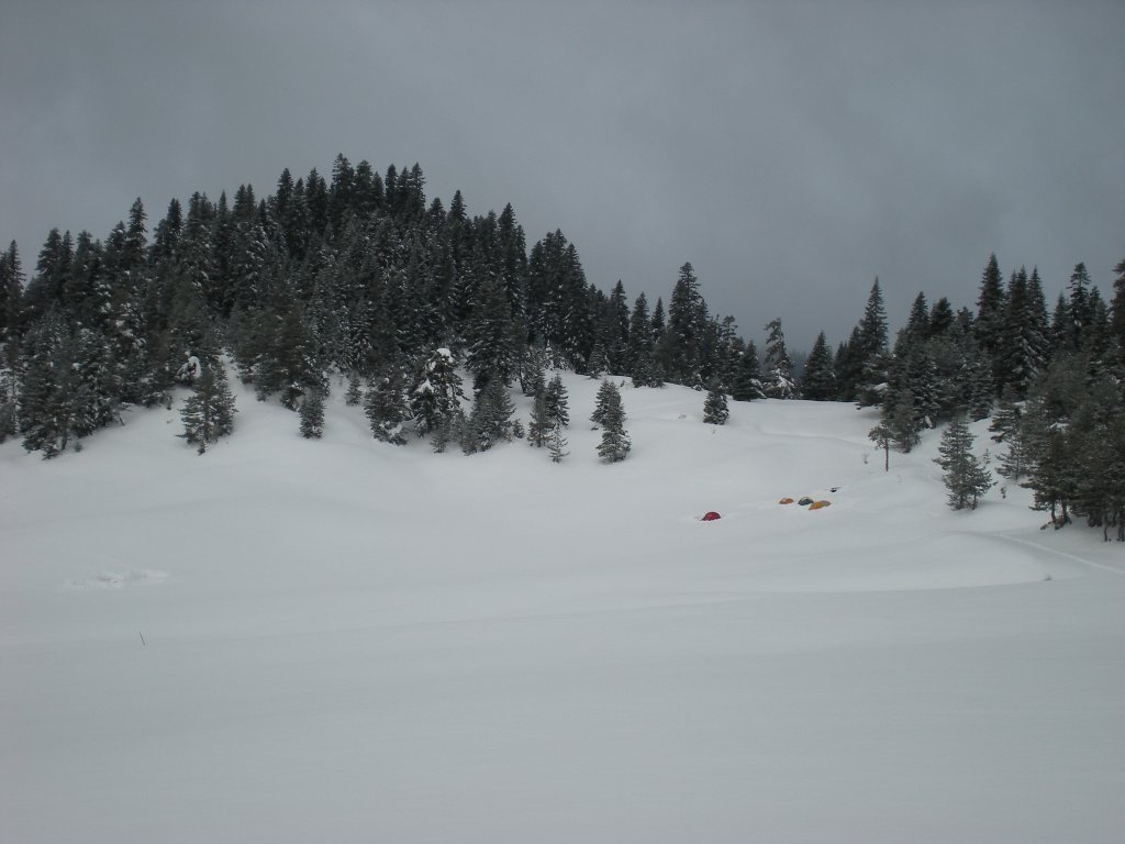 DSCN4577.JPG