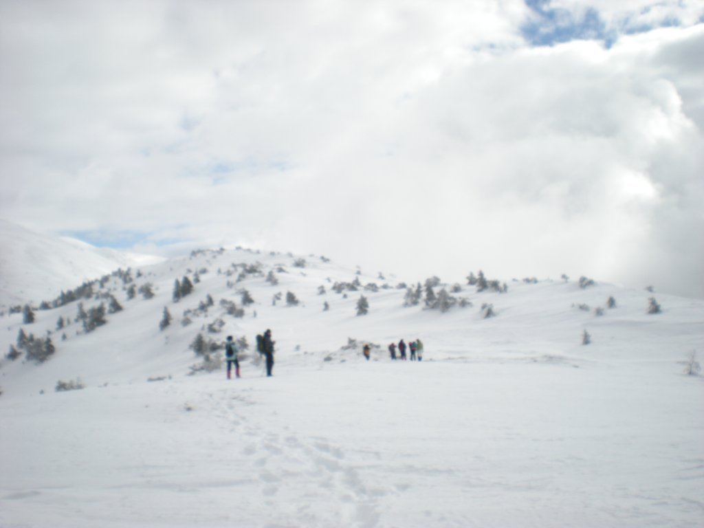 DSCN4595.JPG