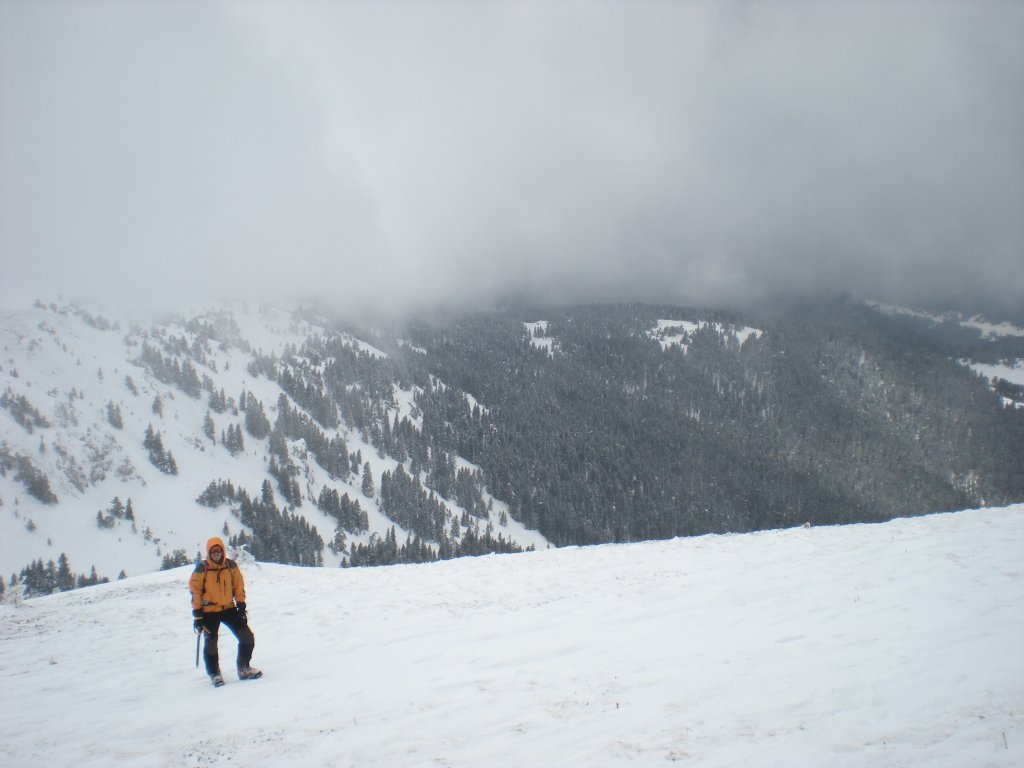 DSCN4597.JPG