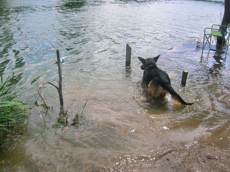 DSCN4651.jpg