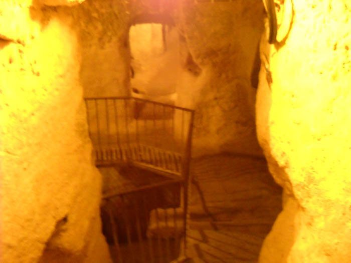 DSCN4689a.jpg