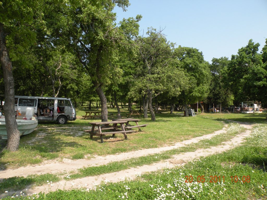 DSCN4690.jpg