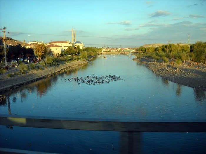 DSCN4911c.jpg