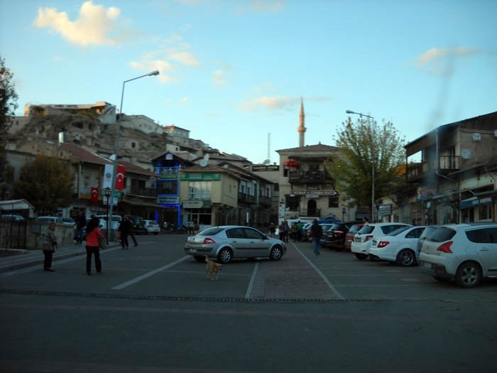 DSCN4925c.jpg
