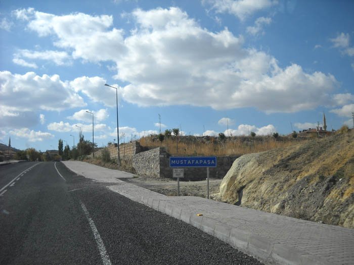 DSCN5176c.jpg