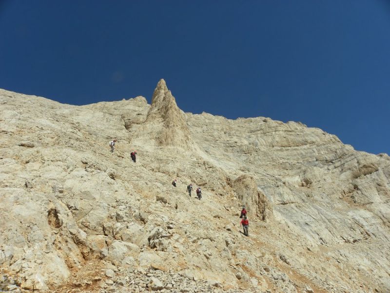 DSCN5238.jpg