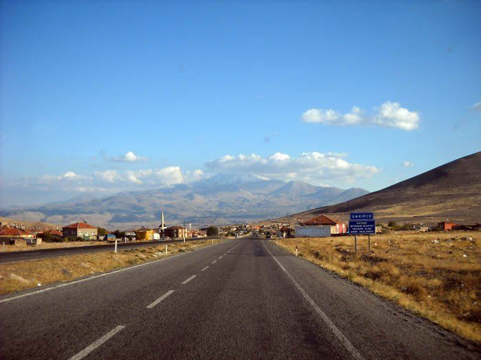 DSCN5253d.jpg