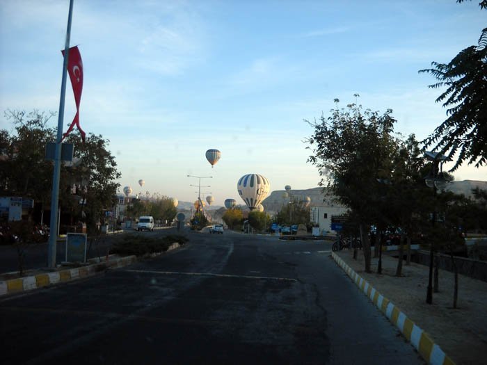 DSCN5306d.jpg