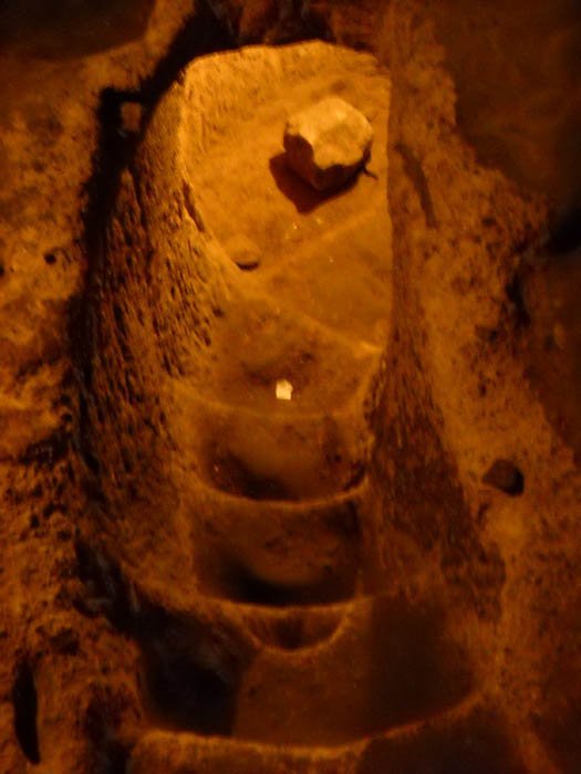 DSCN5484e.jpg