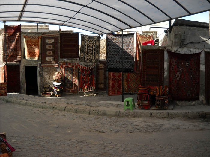 DSCN5500e.jpg
