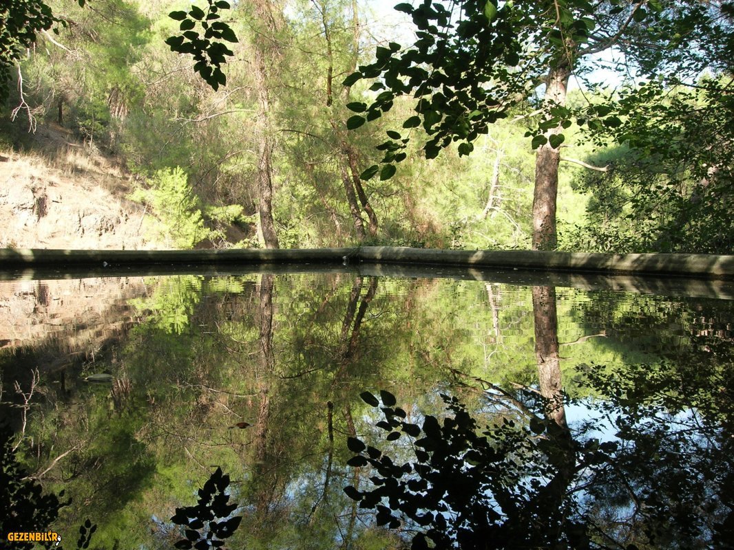 DSCN5717.JPG