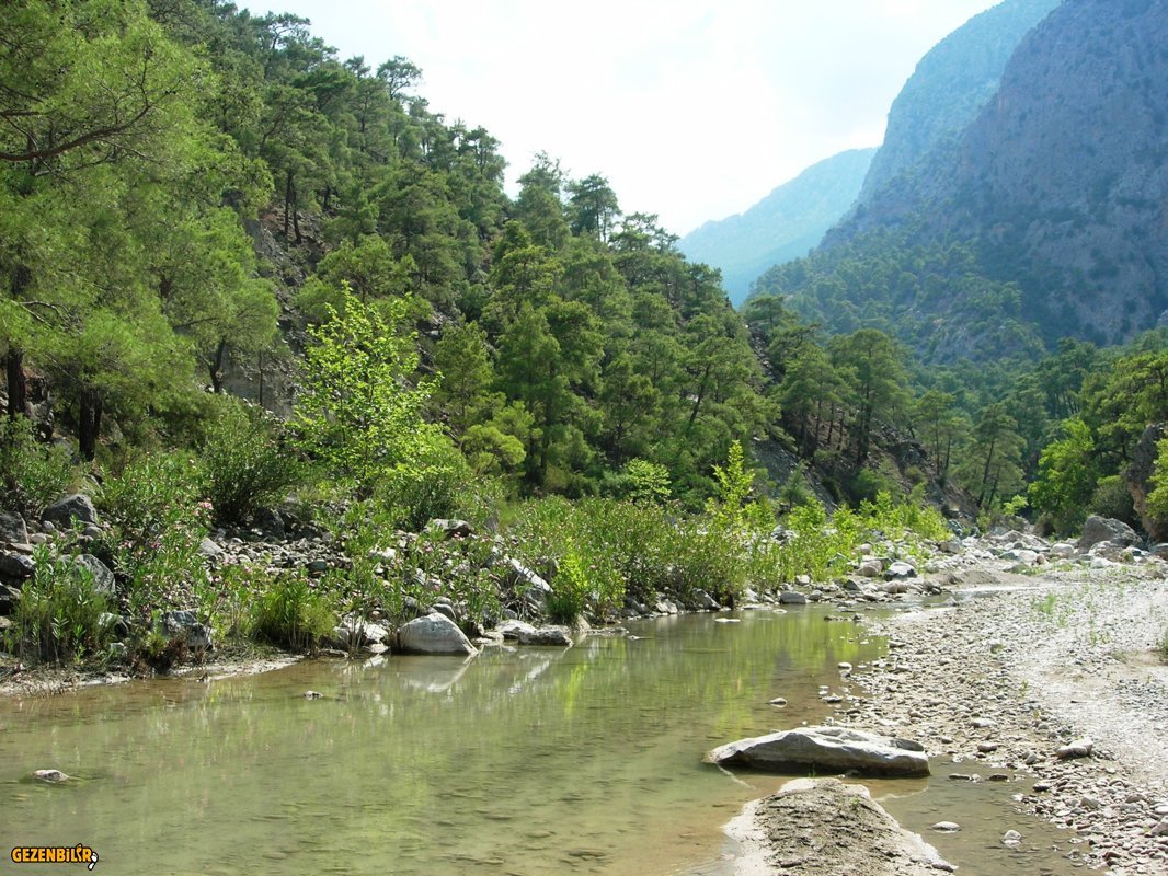 DSCN5805.JPG