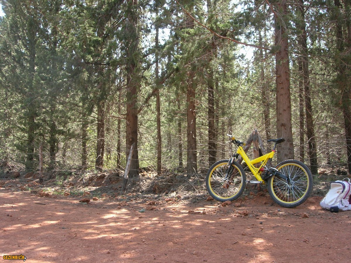 DSCN5855.JPG