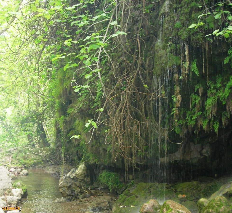 DSCN5890.JPG