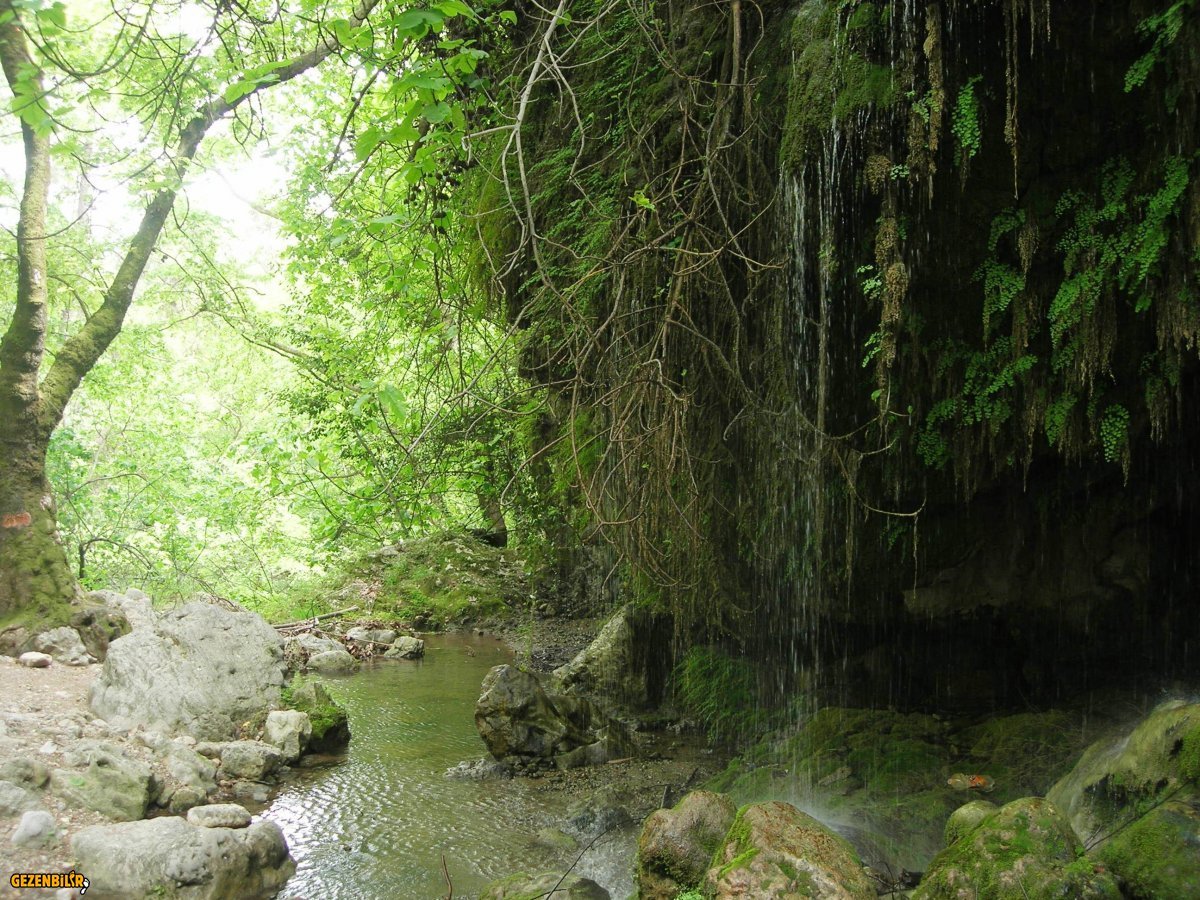 DSCN5893.JPG