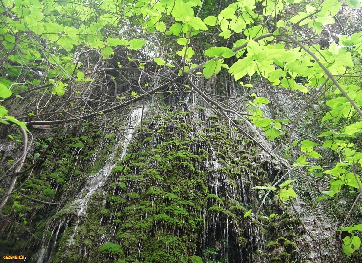 DSCN5894.JPG