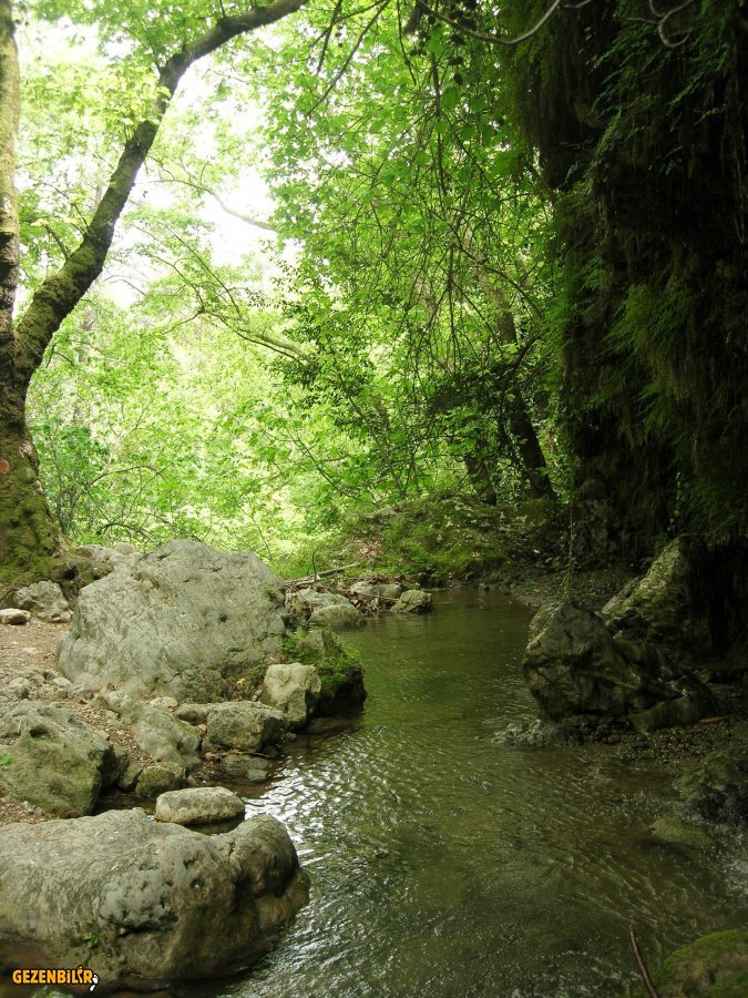 DSCN5895.JPG